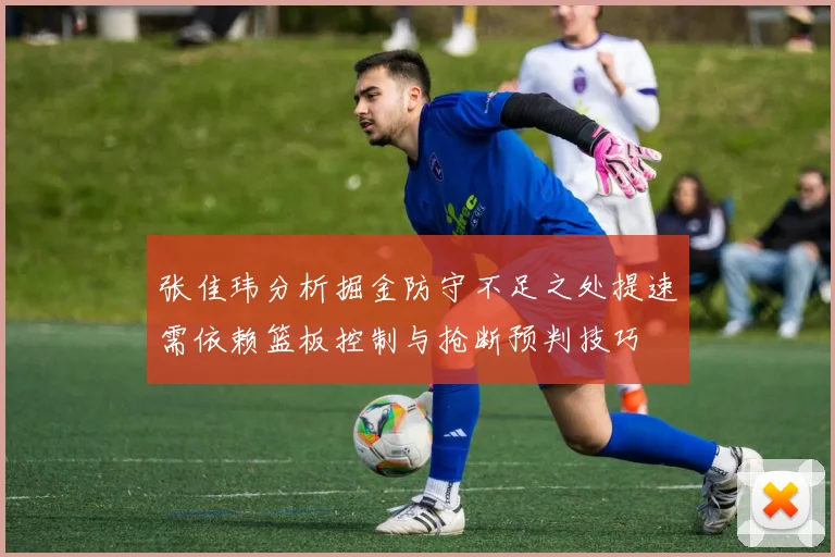 张佳玮分析掘金防守不足之处提速需依赖篮板控制与抢断预判技巧