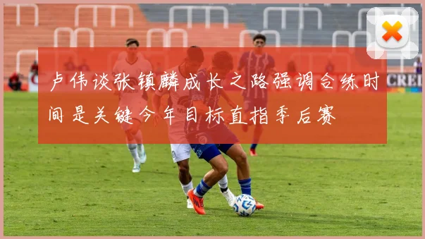 卢伟谈张镇麟成长之路强调合练时间是关键今年目标直指季后赛