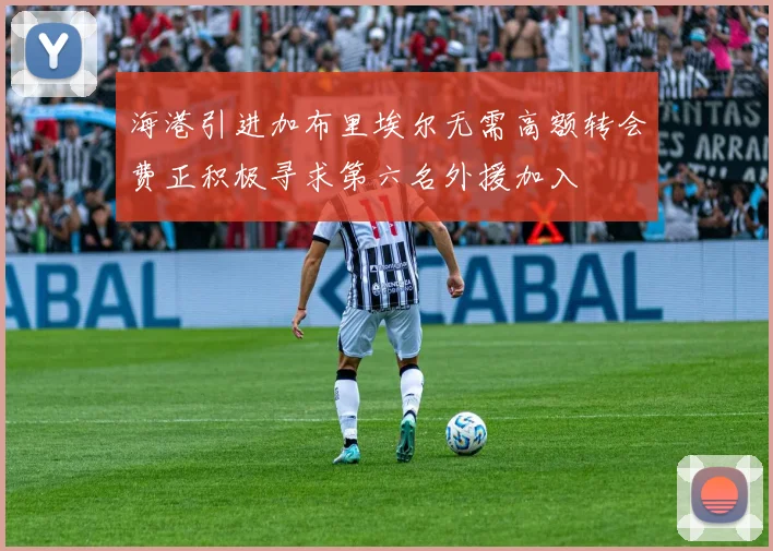 海港引进加布里埃尔无需高额转会费正积极寻求第六名外援加入