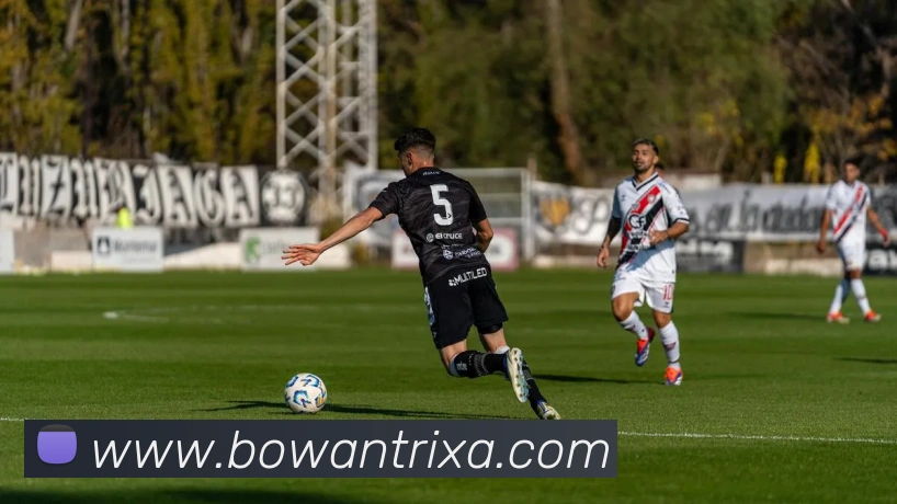 博万体育平台生态图